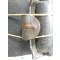 Leibriemen late war WW2 (Belt leather late war WW2)
