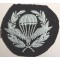 Trade badge Parachutist training instructor