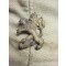 Zomercap Bulgarije (Summercap Bulgaria)