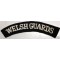 Shoulder flash Welsh Guards