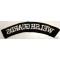 Shoulder flash Welsh Guards