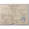 Soldbuch Willi Grucru 5/IR.89 Nr 13