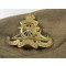 Winter Field Service Cap 