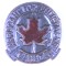 Lapel badge Participent for Enlistment CANADA 