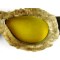 Goggles Dispatch/tank WW2