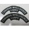 Can Intel