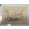 AnsichtsKarte (Mil. Postcard) WH Weinachten an der Front