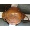  M1917A1 Transitional Steel Helmet 