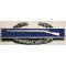 U.S. Army Combat Infantryman Badge