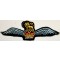 Glider pilot wing RAF (old)