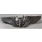 ORIGINAL WWII FULL SIZE USAAF GUNNER WING