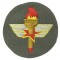 Mouwembleem Air Training Command