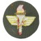 Mouwembleem Air Training Command