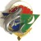 Badge 2e RPIMa, 1 Cie Operation Azalee aux Comores