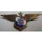  WWII Shirt Size Free French Air Force (FAFL) Pilot Wing/Branch of Service Badge