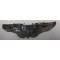 Bombadeer wing sterling in AMICO box
