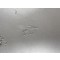 LW Stubenkanne und wasch Wanne Aluminium (LW Watercan and Bowl aluminum)