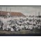 Prent briefkaart 1909 Legerplaats bij Zeist, Aardappels schillen