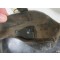 Pistolentaschen P08 (Holster pistol P08)