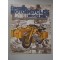 GERMAN MOTORCYCLES WORLD WAR II – SOLO MACHINES – COMBINATIONS – KETTENKRAFTRAD