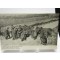 Postcard 1914 French soldiers behind barricade