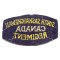 Shoulder title South Saskatchewan Regiment ,  2nd Canadian Infantry Division 