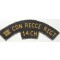 Shoulder title VIII CDN Recce Regt 14 CH (canvas)