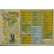 Prent briefkaart 1940 Schrijven zonder schrijven (lezende soldaat) Automatiek kaart