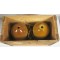 Wooden transport crate with 2 SRD jars RASC