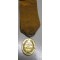 De Medaille voor IJver en Trouw werd op 14 februari 1877 door koning Willem III der Nederlanden bij Koninklijk Besluit ingesteld. Er waren in 1877 al meerdere medailles ter beloning van een langdurig dienstverband als militair bij de krijgsmacht maar voor