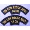 Shoulder titles VIII CDN Recce Regt 14 CH, 2nd Canadian Infantry Division 
