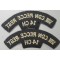 Shoulder titles VIII CDN Recce Regt 14 CH, 2nd Canadian Infantry Division 