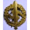 SA-Sportabzeichen (SA Sportsbadge in Bronze)