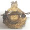 Cap badge Royal marines WW2