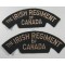 The Irish Regiment