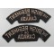 The Irish Regiment