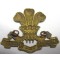 Cap badge Glamorgan Yeomanry