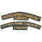 Shoulder title Hastings & Prince Edwards Rgt Canada 1st Canadian Division