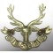 Cap badge Seaforth Highlanders Regiment