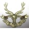 Cap badge Seaforth Highlanders Regiment