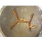 Set of 2 brass round shields 1900s Indonesia