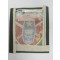 Cloth badge Lambung Mangkurat University