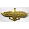 Indonesia Qualifcation badge amphibious 
