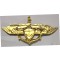 Indonesia Qualifcation badge amphibious 