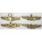 Indonesia airforce para 4 wings 