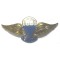 Indonesia Army IRVIN Parachute Wings click for more images  Indonesia Army IRVIN Parachute Wings