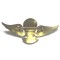 Indonesia Army IRVIN Parachute Wings click for more images  Indonesia Army IRVIN Parachute Wings