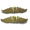 Indonesia airforce para wings miniature