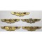 Indonesia Airforce wings 5x