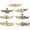 Indonesia airforce para wings 7x